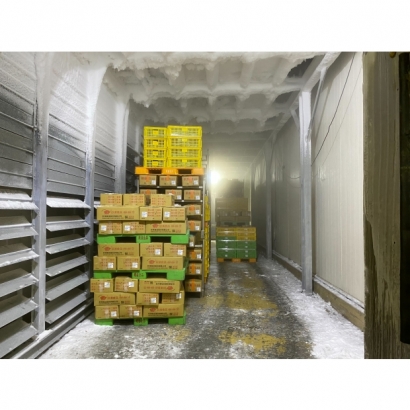 3U - 防霉抗菌工業地坪-完成面